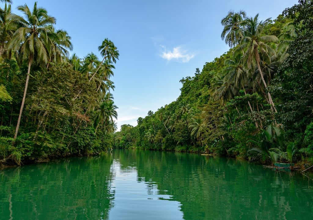 Río de la selva tropical en el bosque. Filipinas