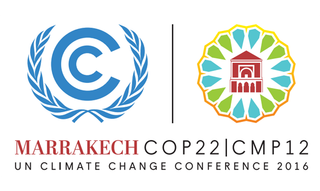 “Soluciones sostenibles” al cambio climático