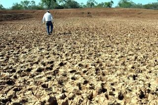 Bolivia declara emergencia por sequía