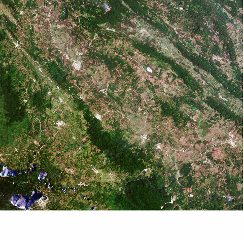 Mapa de los bosques en Chiapas
