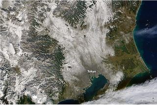 Rara nevada en Tokio durante noviembre