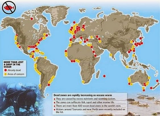 Distribución de zonas muertas en los océanos