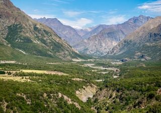 3 curiosidades sobre la Reserva Nacional Río de Los Cipreses: un verdadero tesoro escondido de Chile