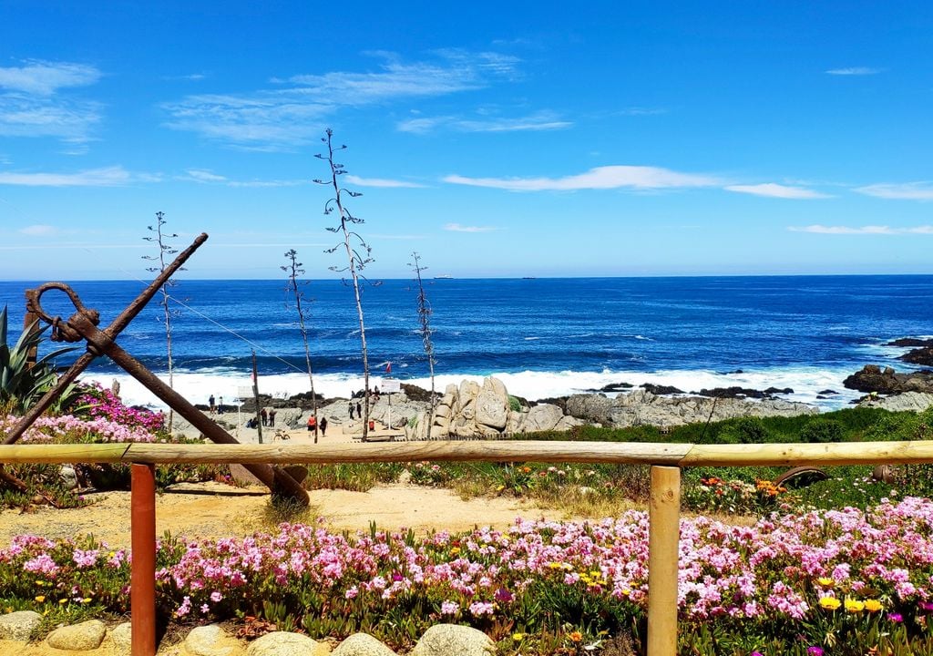 Isla Negra, litoral central.