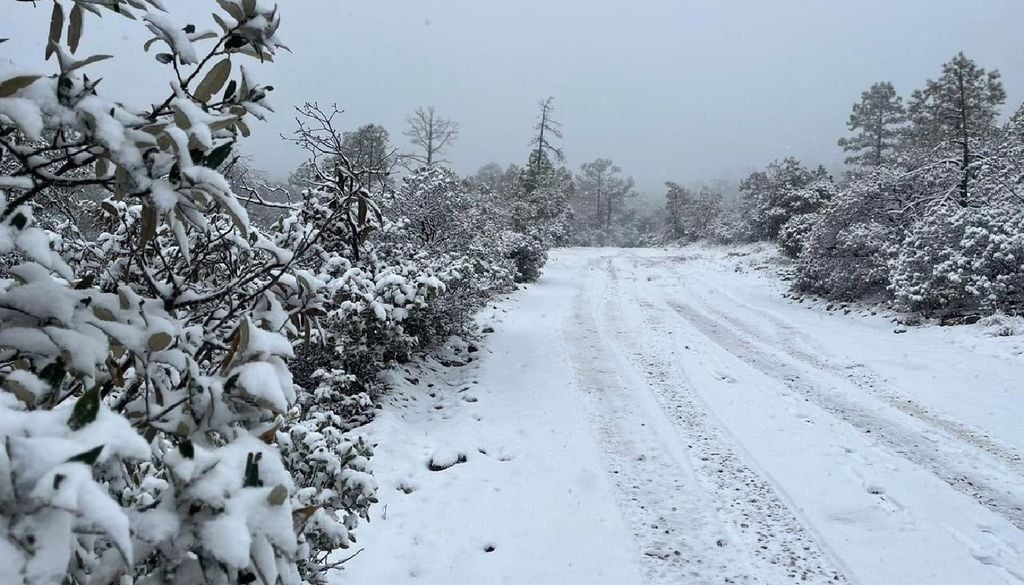 La Sierra Tarahumara, es uno de los sitios por excelencia de gélido frío. Imagen Gobierno de Chihuahua