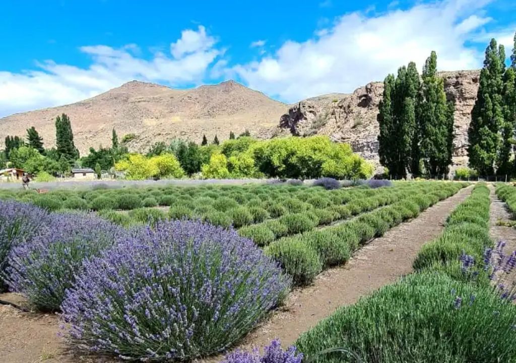 experiencias turísticas en Argentina durante febrerorp