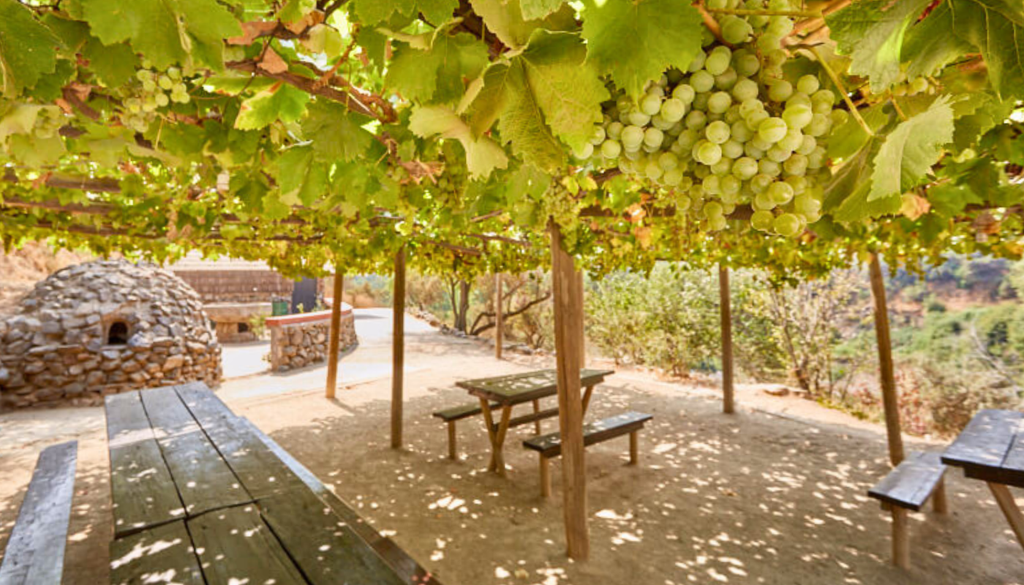 Santuario de la Naturaleza El Arrayán. El Santuario de la Naturaleza El Arrayán cuenta con zona de picnic con mesas y parrillas. Crédito: santuariodelanaturaleza.cl.