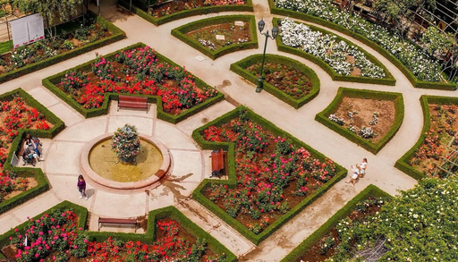 3 parques y jardines de Santiago que florecen con la llegada de la primavera