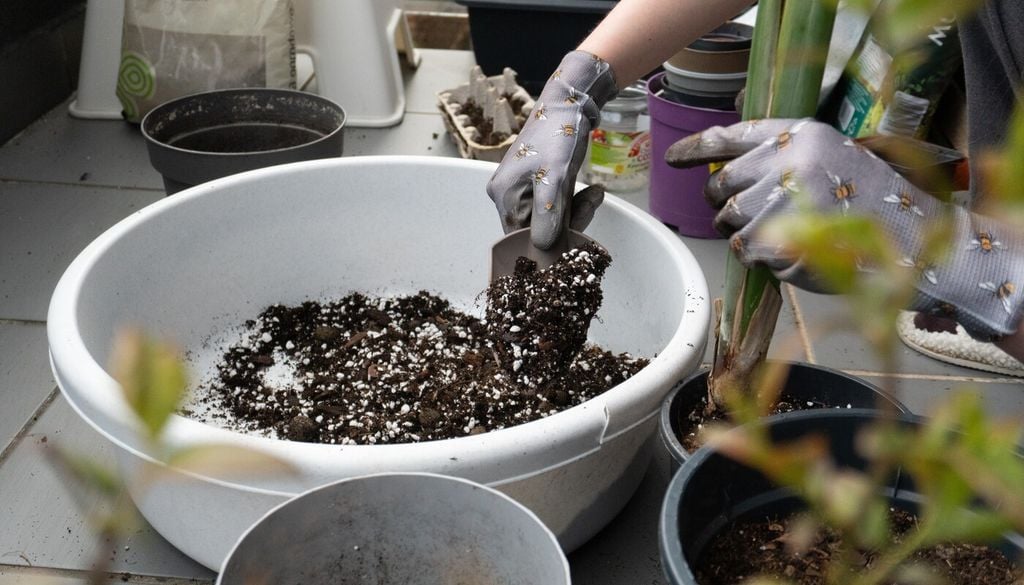sustrato Elegir una mezcla adecuada permite controlar mejor la humedad alrededor de las raíces, mientras que los soportes ligeros ofrecen una forma sencilla de dirigir el crecimiento de algunas especies.