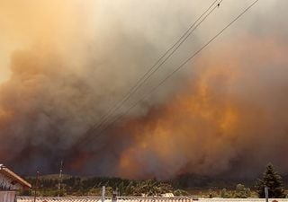 Violento incendio forestal en el Biobío obliga evacuar sectores poblados