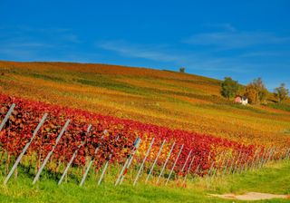 30 Grad - im September startet der Spätsommer durch!