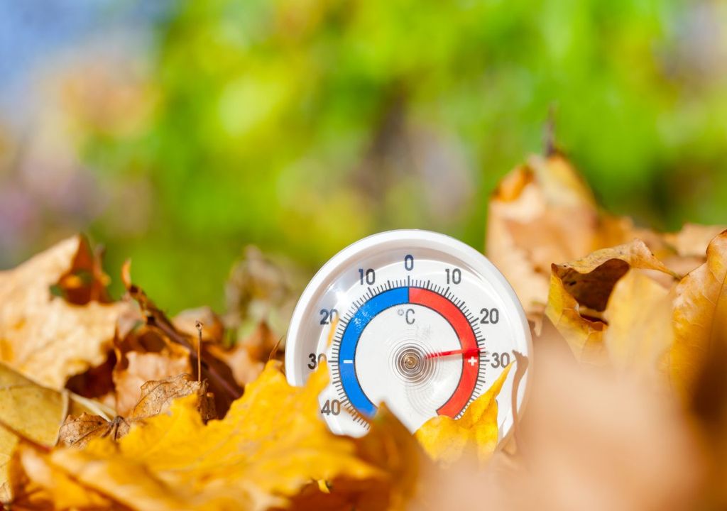 oktober, 30 grad, schwitzen oktober, 30 grad, schwitzen