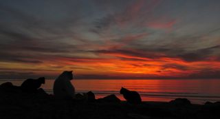 Atardecer en Rota (Cádiz)
