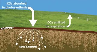 El papel de los suelos como sumideros de carbono