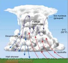Las nubes convectivas y bacterias