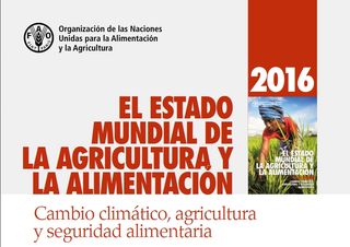 Cambio climático, agricultura y seguridad alimentaria