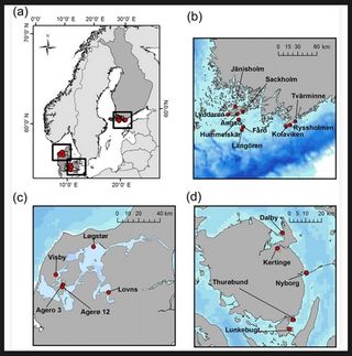 Record mundial en el almacenamiento del carbono