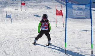 Día mundial de la nieve