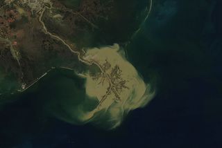 Imagen única: sedimentos del Missisipi