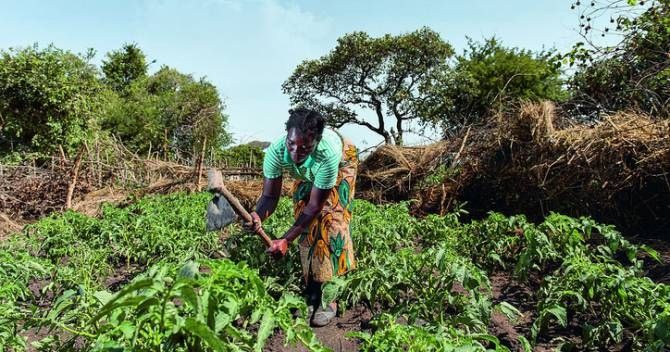 Los investigadores analizaron 75 estudios realizados en 22 países africanos sobre los gases de efecto invernadero. (Foto: Welthungerhilfe)