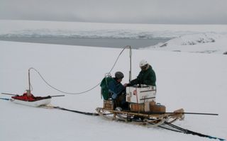 ¿Cómo afecta el cambio climático a los glaciares de la Isla Livingston?