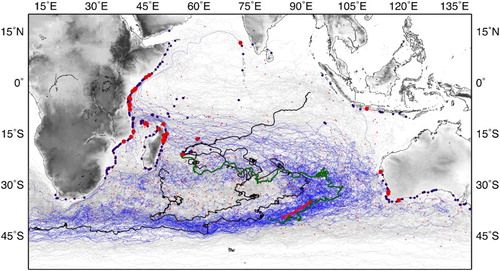 Trayectorias de boyas superficiales a la deriva (drifter) del dataset histórico utilizado. Las trayectorias azules corresponden a los drifters que se acercan a la orilla (si no se utiliza el color gris). Los pequeños puntos rojos representan la ubicación de su última transmisión. Los círculos más grandes se refieren a los drifters que alcanzan tierra: en rojo, para los drifters que viajaron alguna vez a través del área de la búsqueda; en azul, el mismo pero para las trayectorias indirectas. Las trayectorias más gruesas representan a los drifters que llegan a La Reunión. La de verde representa una trayectoria que en algún momento pasó por el área de búsqueda. Imagen cortesía de J. A. Trinanes et al.