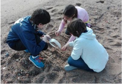 Alumnado de la escuela Quatre Vents recogiendo muestras en la playa de Blanes. / Gemma Agell (CEAB) Alumnado de la escuela Quatre Vents recogiendo muestras en la playa de Blanes. / Gemma Agell (CEAB)