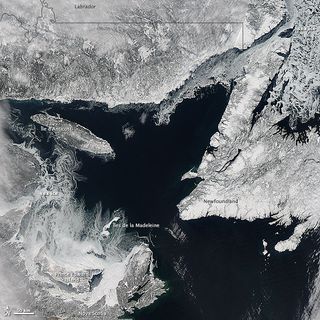 Hielo marino artíco canadiense