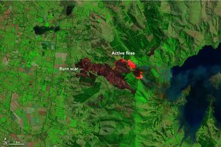 Los incendios en Nueva Zelanda obligan a evacuar a 1000 personas