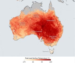 Ola de calor que rompe récords en Australia