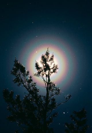 Coronas solares elípticas