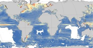 El cambio global afecta especialmente a la biodiversidad de los mares polares y ecuatoriales