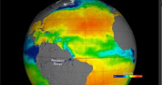 Un año observado la salinidad de los mares