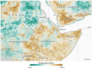 Escasez de alimentos y sequía en el Gran Cuerno de África