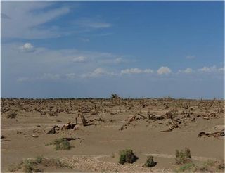 La extracción de agua subterránea influye en el clima