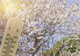 32°C im Schatten: Hitze erreicht Europa!