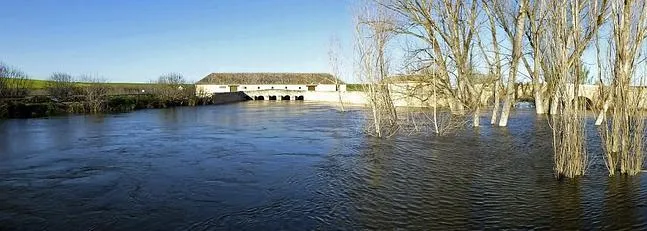 Imagen de las Tablas de Daimiel completamente anegadas. EFE