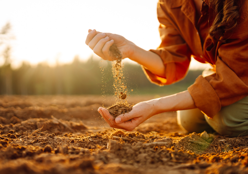 33 % del suelo está degradado: la meta del 5 del diciembre: 