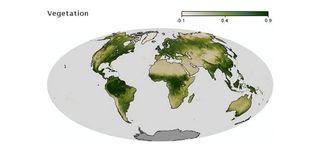 Evolución global y temporal de la vegetación mundial