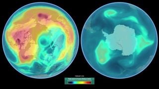 Un año de ozono polar
