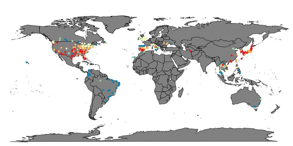 Registro de las olas de calor en el mundo (en azul menos de 14 días y en rojo por encima de 17).