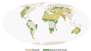 Monitoreo de los bosques en zonas secas de la Tierra