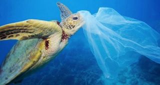 ¡Salva el Mediterráneo de la invasión de plásticos!