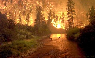 Fuego sobre la Tierra