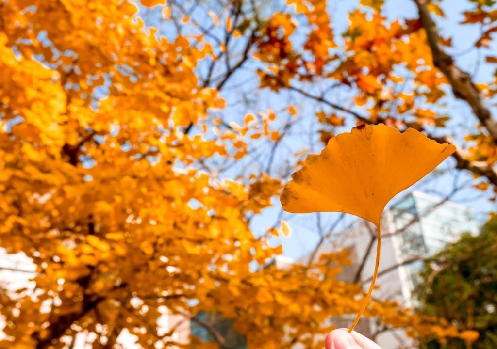 Auch im Herbst kann es nochmal richtig warm bis heiß werden.