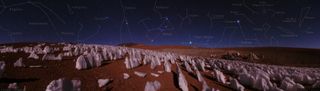 Noche en el bosque de hielo andino