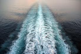 Dos ‘espías’ de la contaminación oceánica