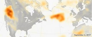 Un aerosol americano en París