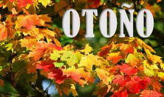 Propiedades del otoño astronómico 2017