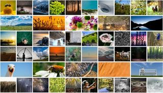 NATURE@work competition: Vote por tus fotos favoritas